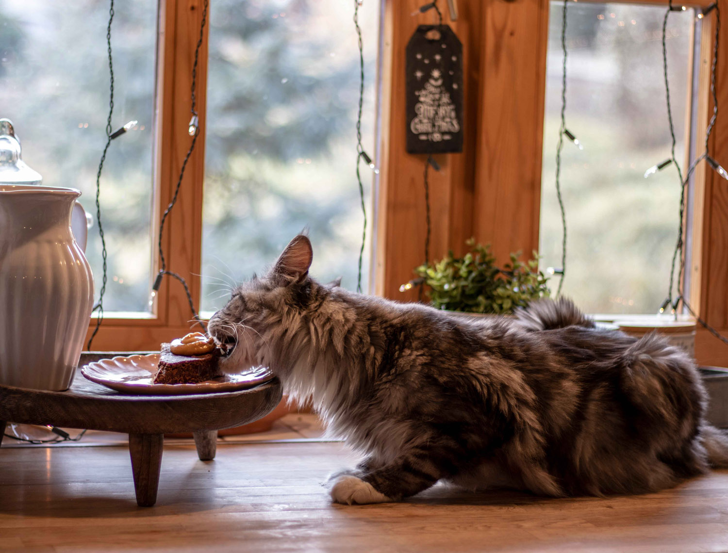 Szőke Dorka fotográfus fotográfus vizsgaremek 