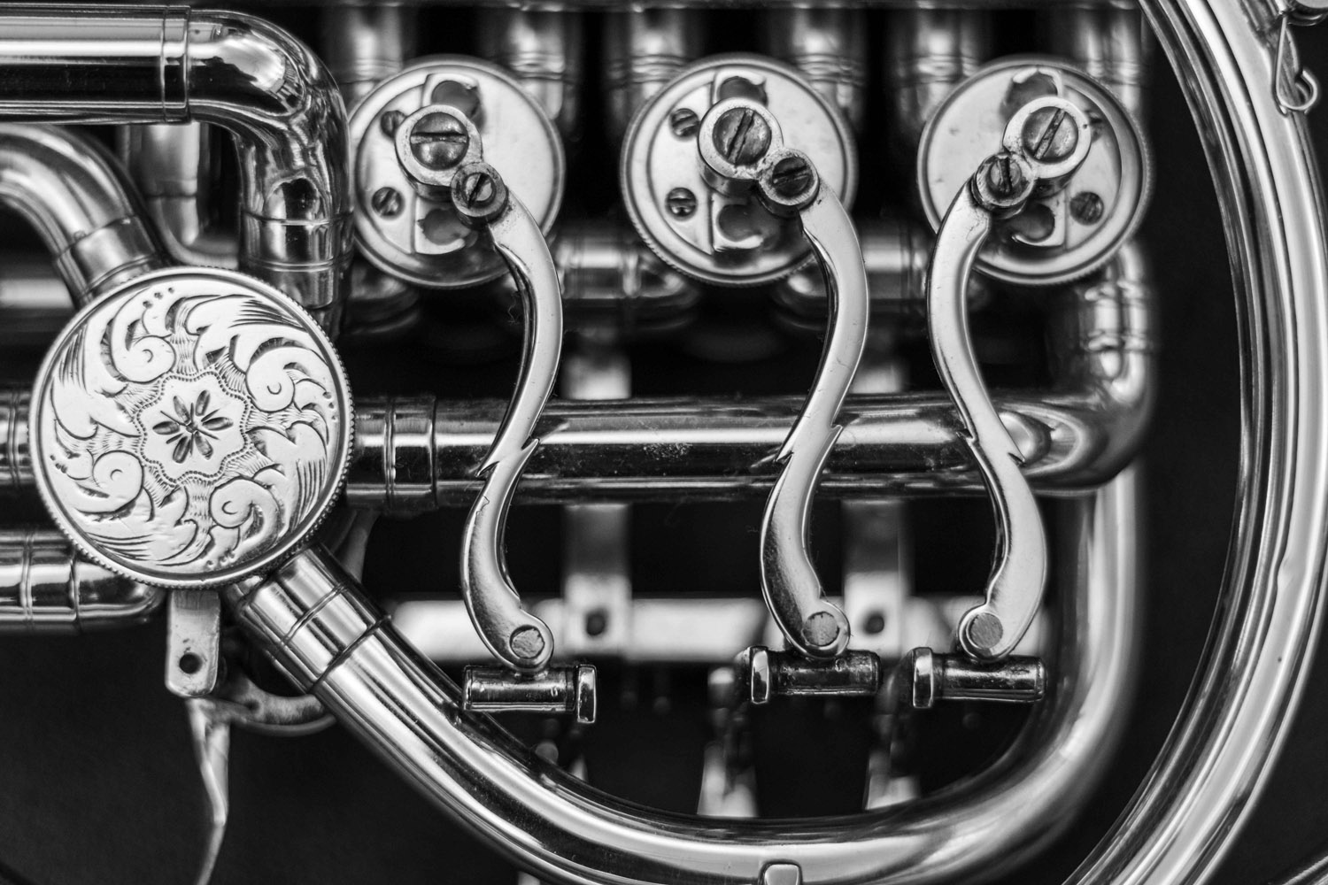 Szőke Dorka fotográfus fotográfus vizsgaremek 