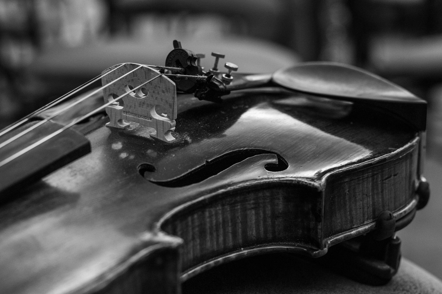 Szőke Dorka fotográfus fotográfus vizsgaremek 