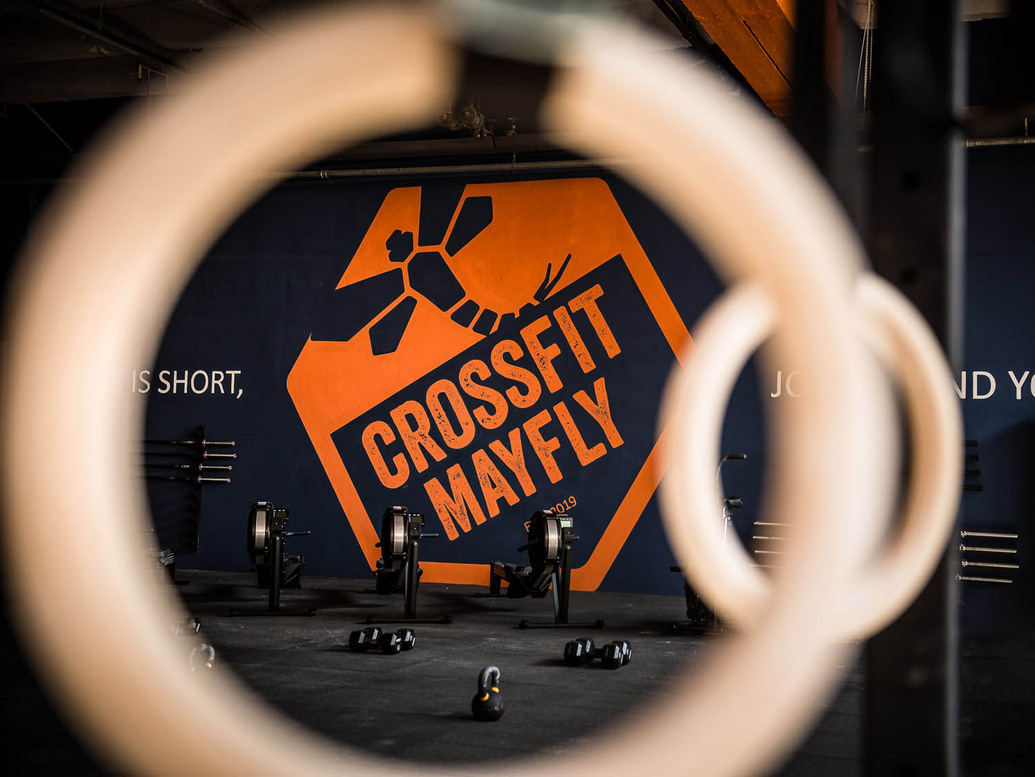 Szűcs József fotográfus fotográfus vizsgaremek 