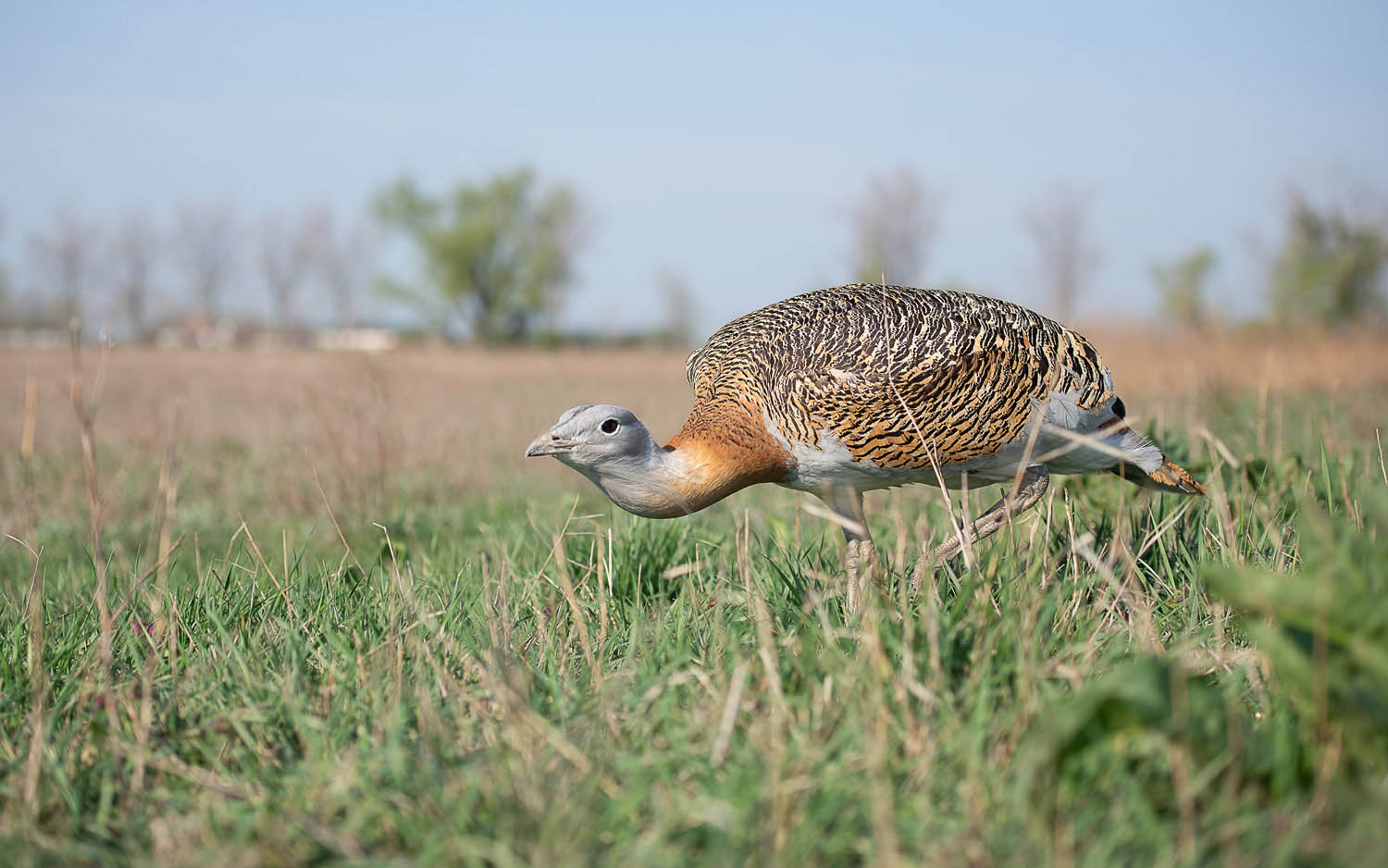 Szűcs József fotográfus fotográfus vizsgaremek 