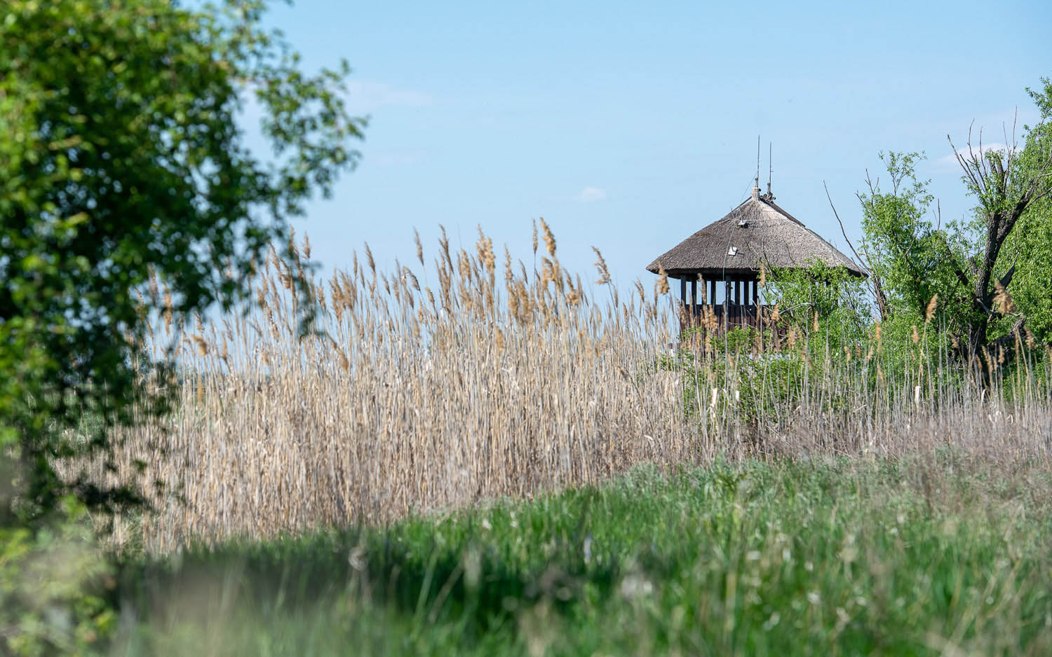 Szűcs József fotográfus fotográfus vizsgaremek 