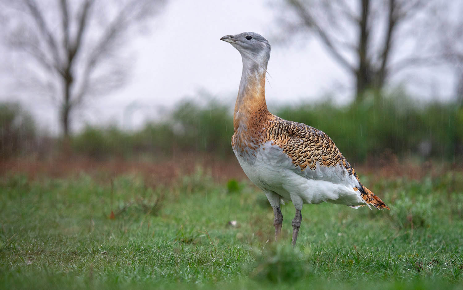 Szűcs József fotográfus fotográfus vizsgaremek 