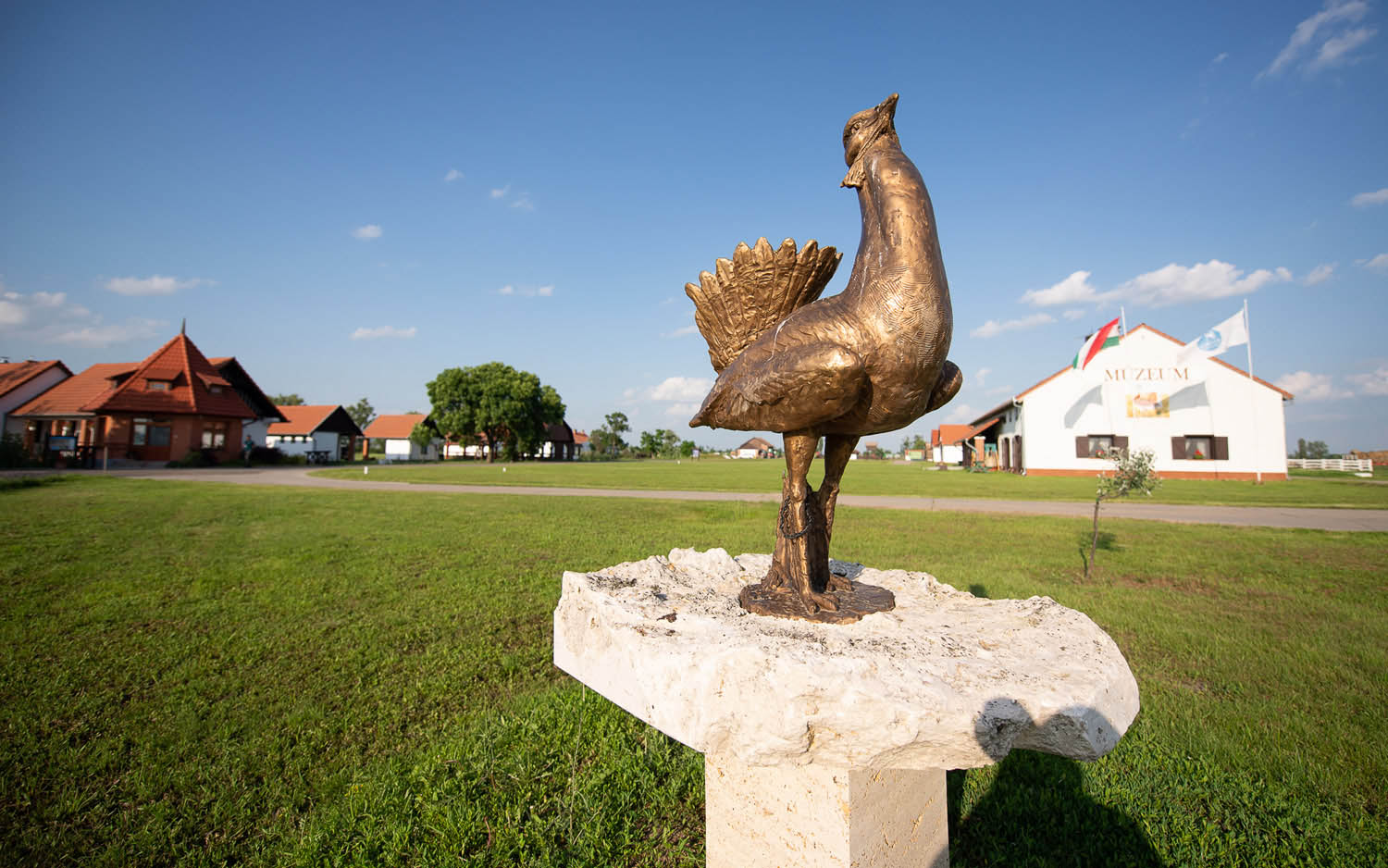 Szűcs József fotográfus fotográfus vizsgaremek 