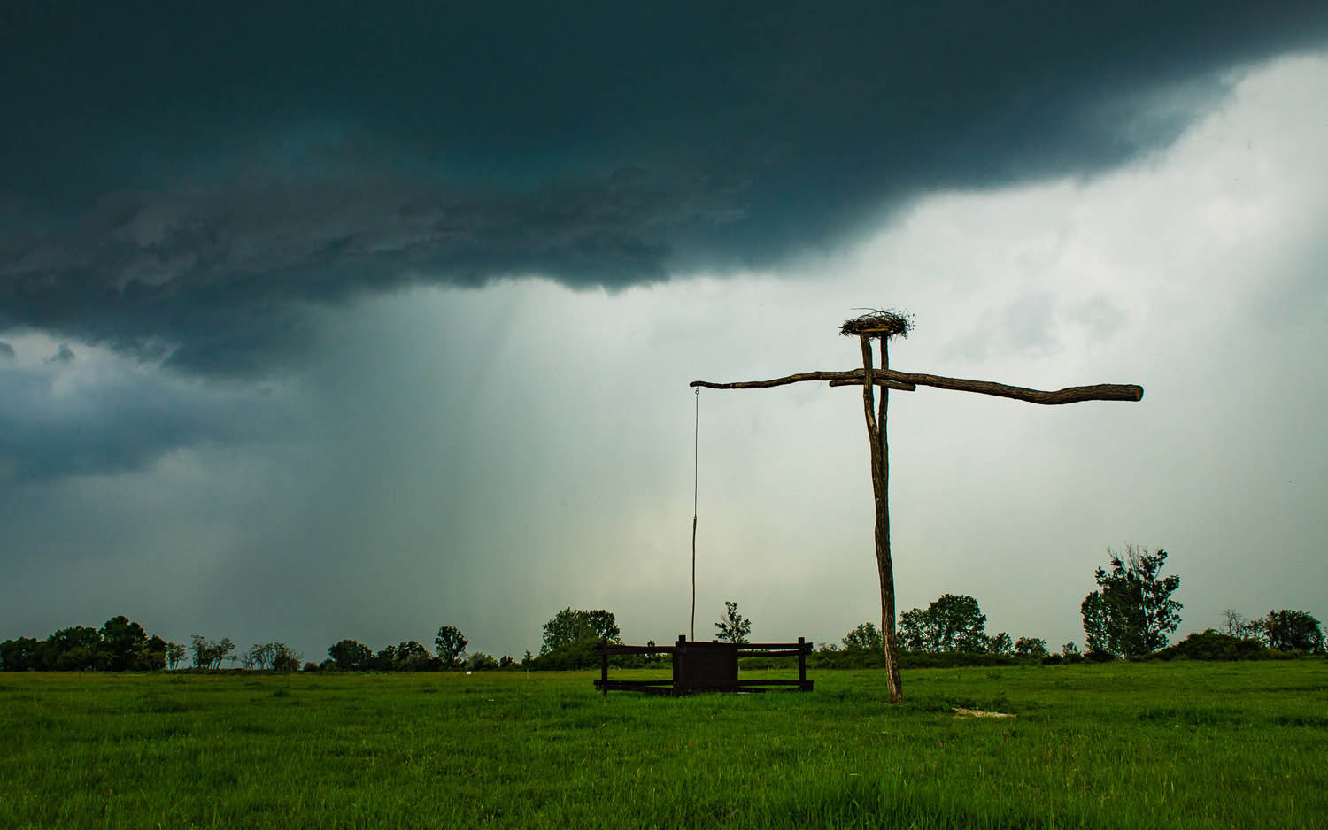 Szűcs József fotográfus fotográfus vizsgaremek 