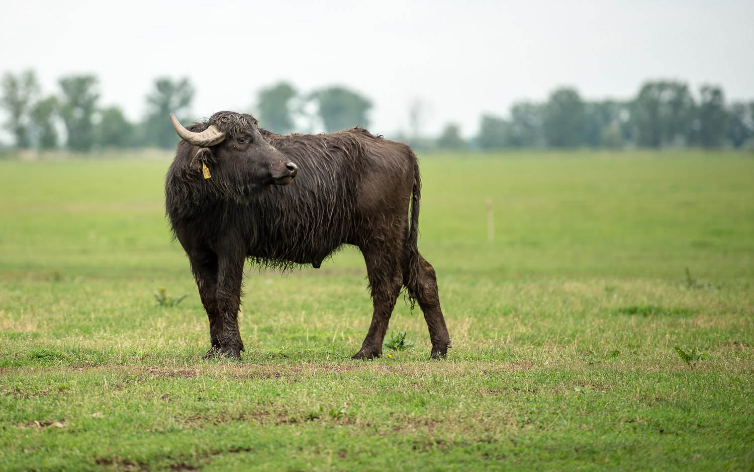 Szűcs József fotográfus fotográfus vizsgaremek 