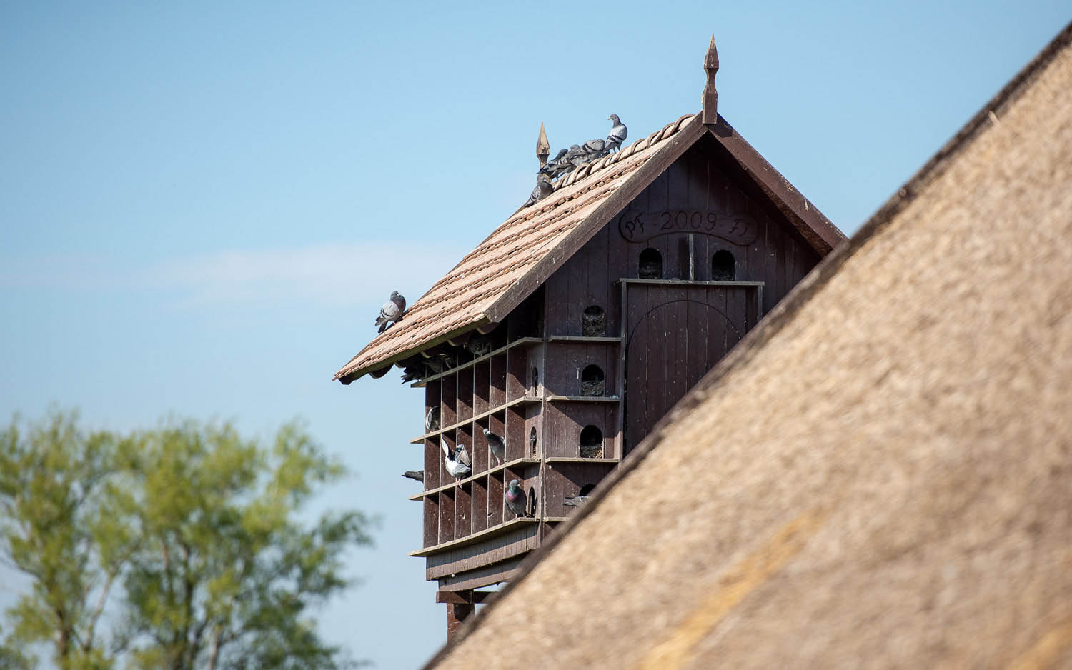 Szűcs József fotográfus fotográfus vizsgaremek 