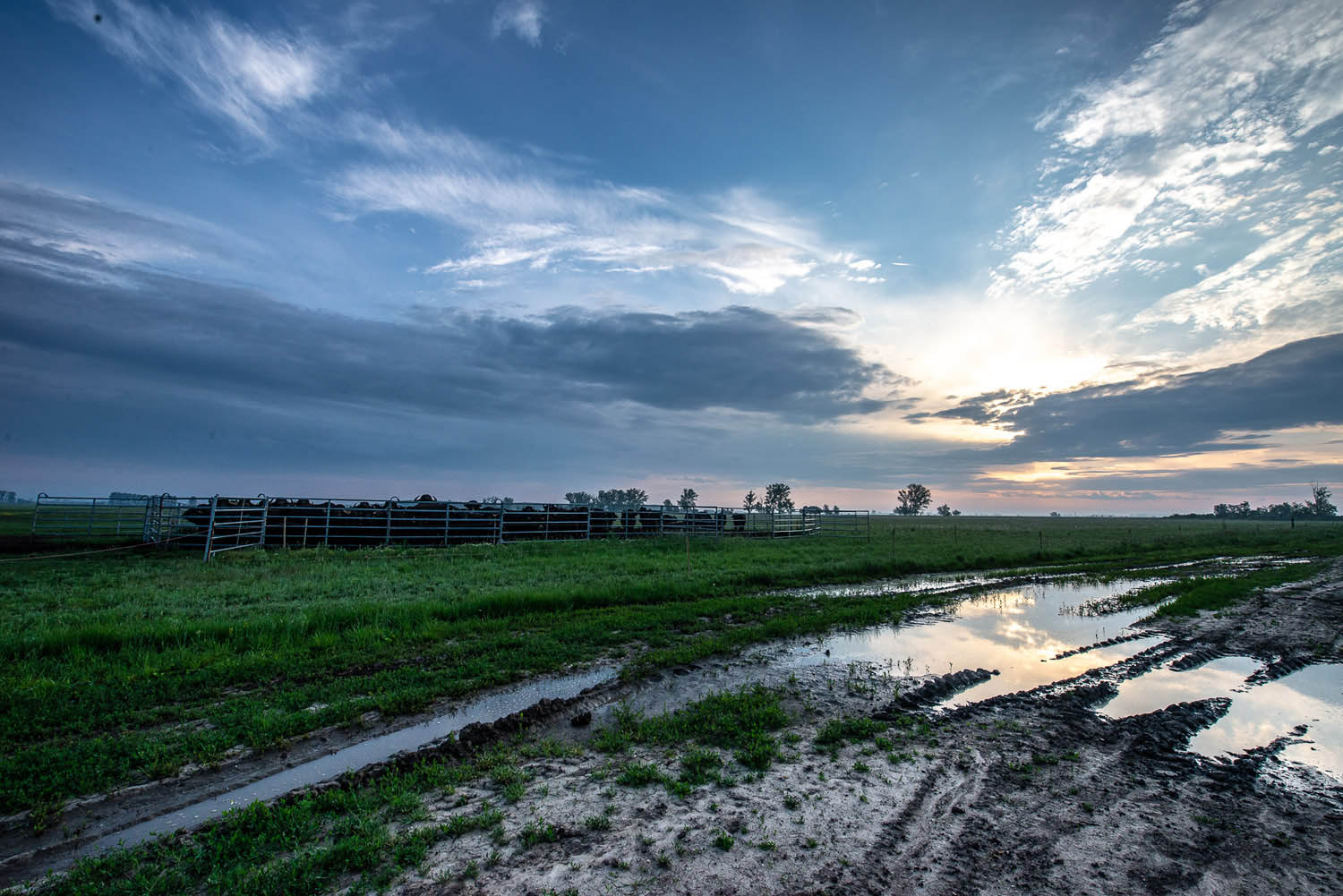 Szűcs József fotográfus fotográfus vizsgaremek 