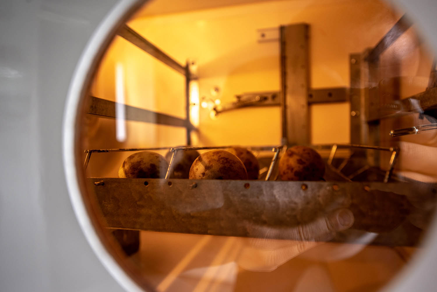 Szűcs József fotográfus fotográfus vizsgaremek 