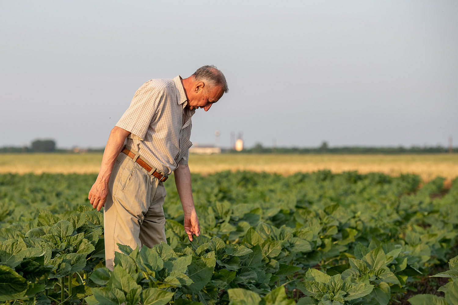 Szűcs József fotográfus fotográfus vizsgaremek 