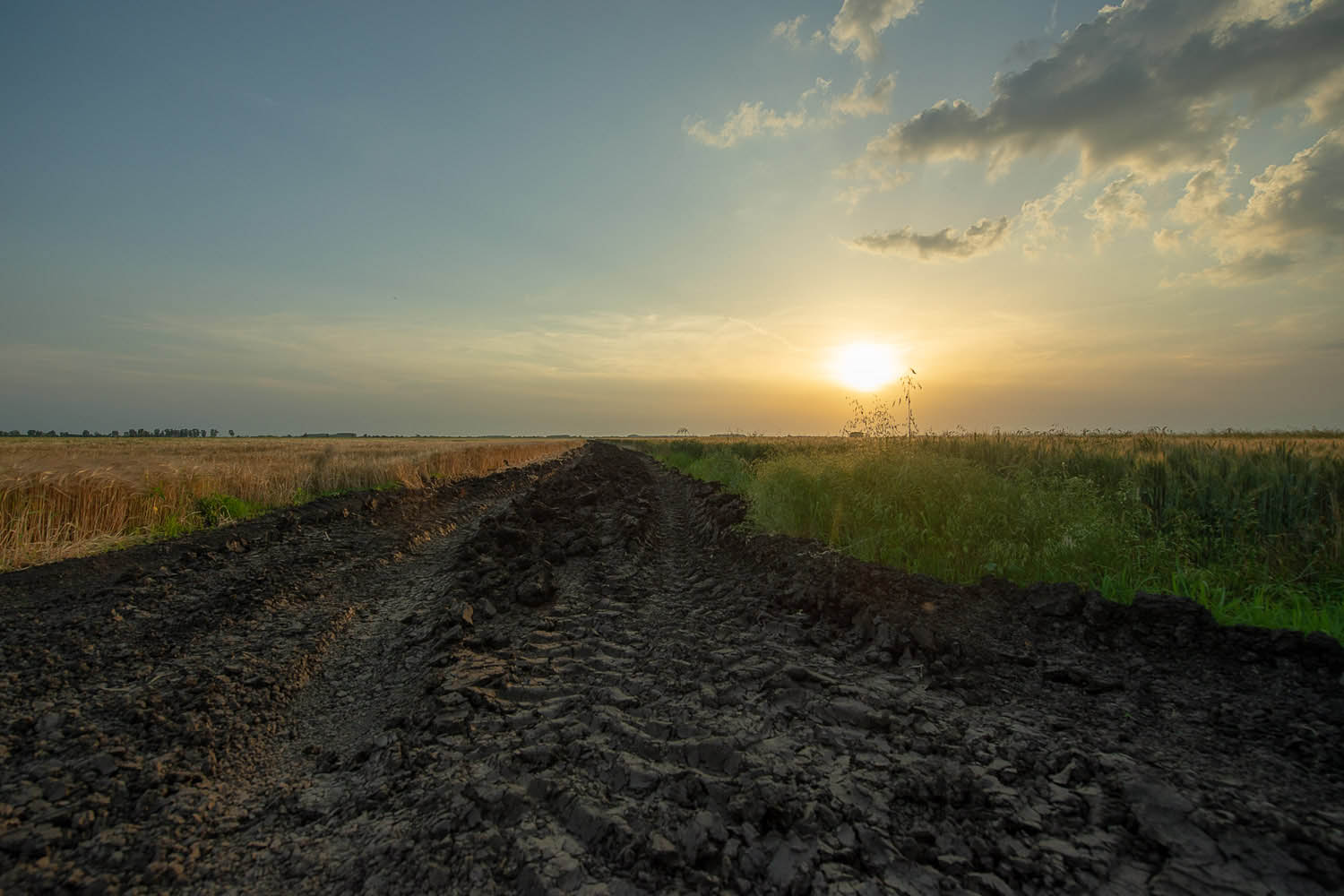 Szűcs József fotográfus fotográfus vizsgaremek 