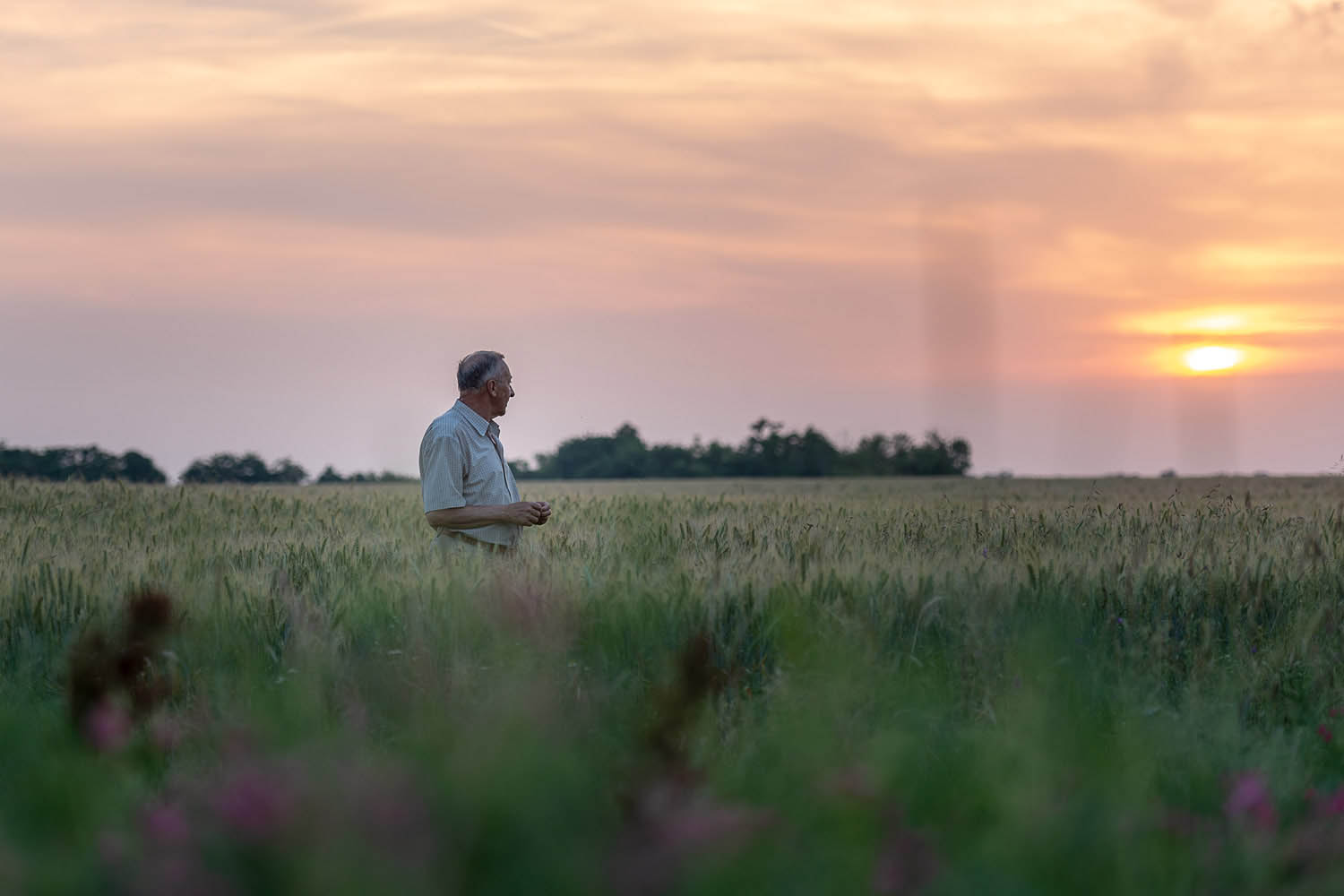 Szűcs József fotográfus fotográfus vizsgaremek 