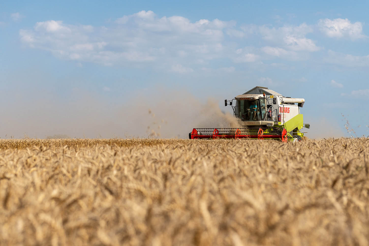 Szűcs József fotográfus fotográfus vizsgaremek 