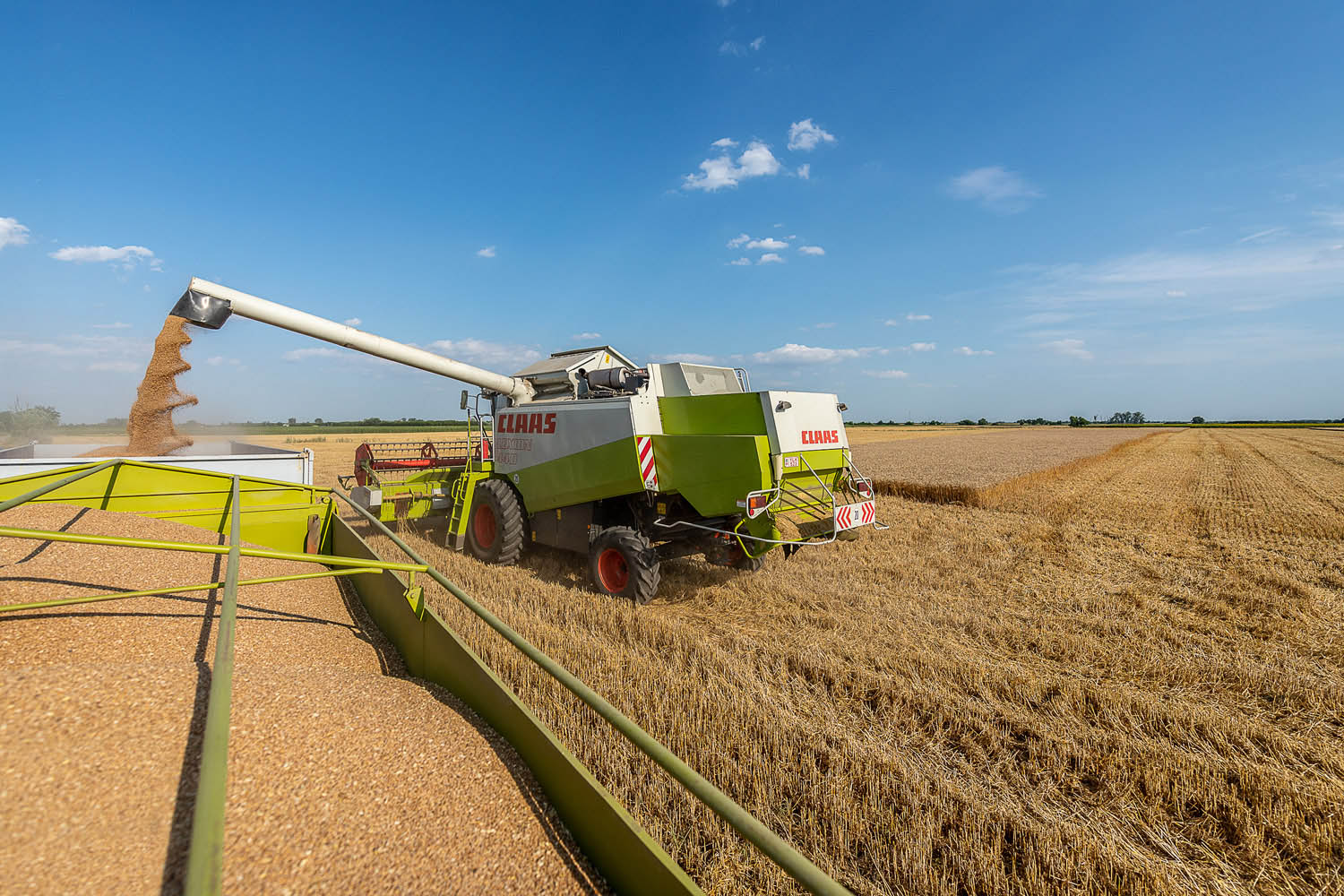 Szűcs József fotográfus fotográfus vizsgaremek 