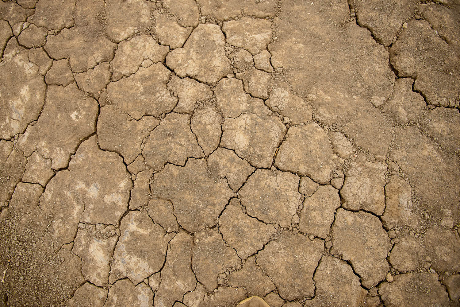 Szűcs József fotográfus fotográfus vizsgaremek 