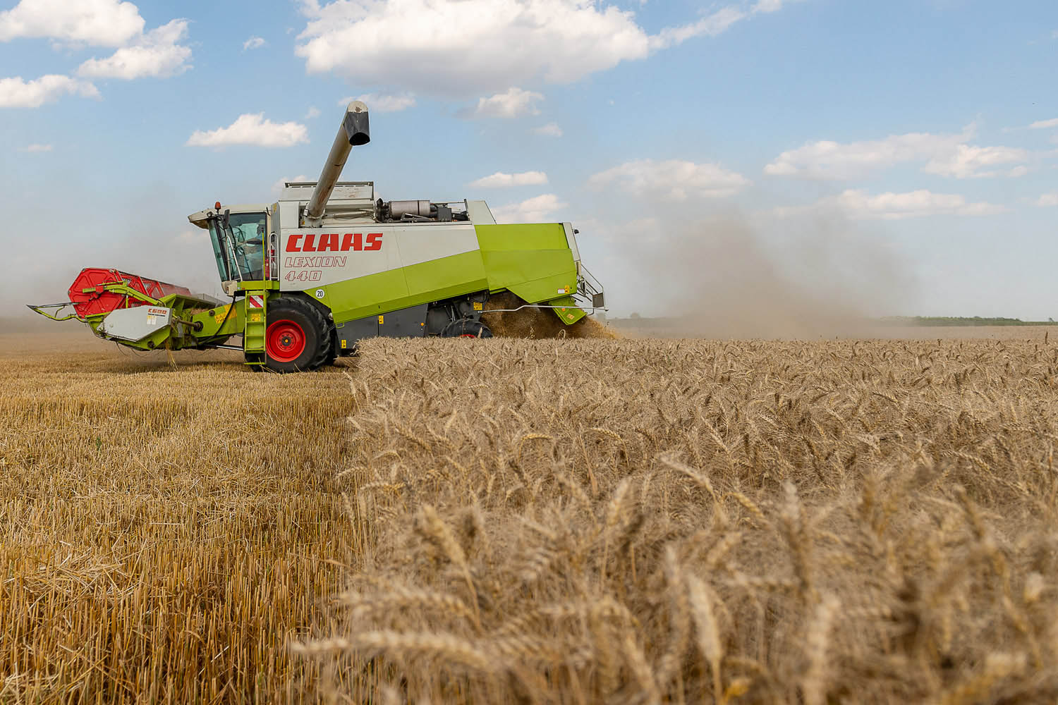 Szűcs József fotográfus fotográfus vizsgaremek 