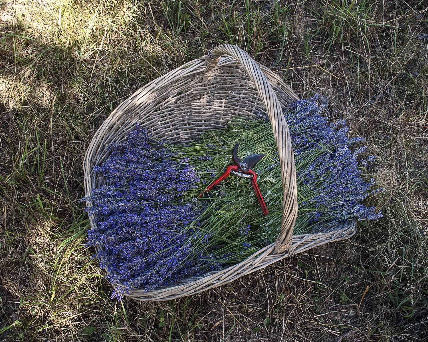 Veszprémi Gergő fotográfus fotográfus vizsgaremek 
