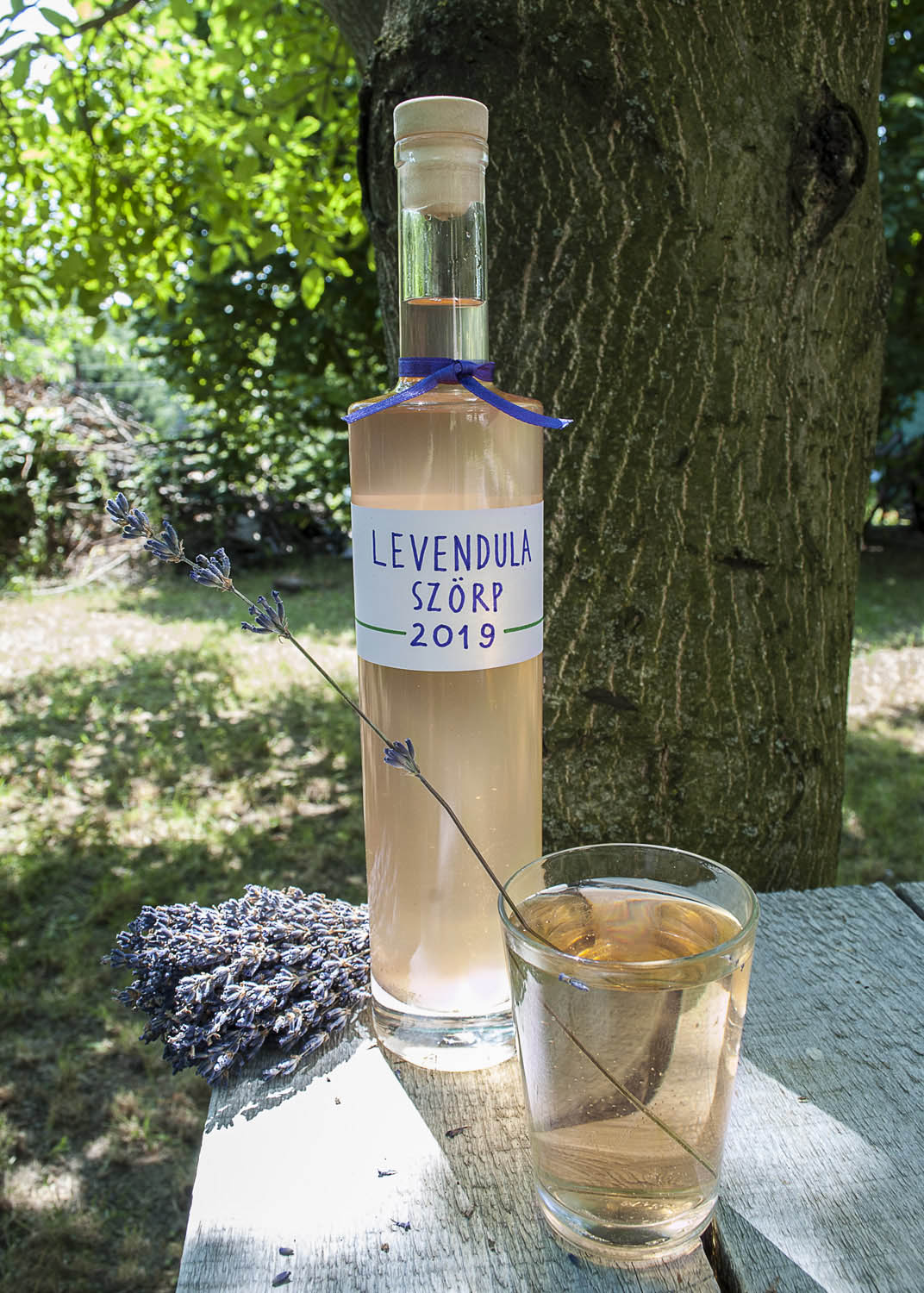 Veszprémi Gergő fotográfus fotográfus vizsgaremek 