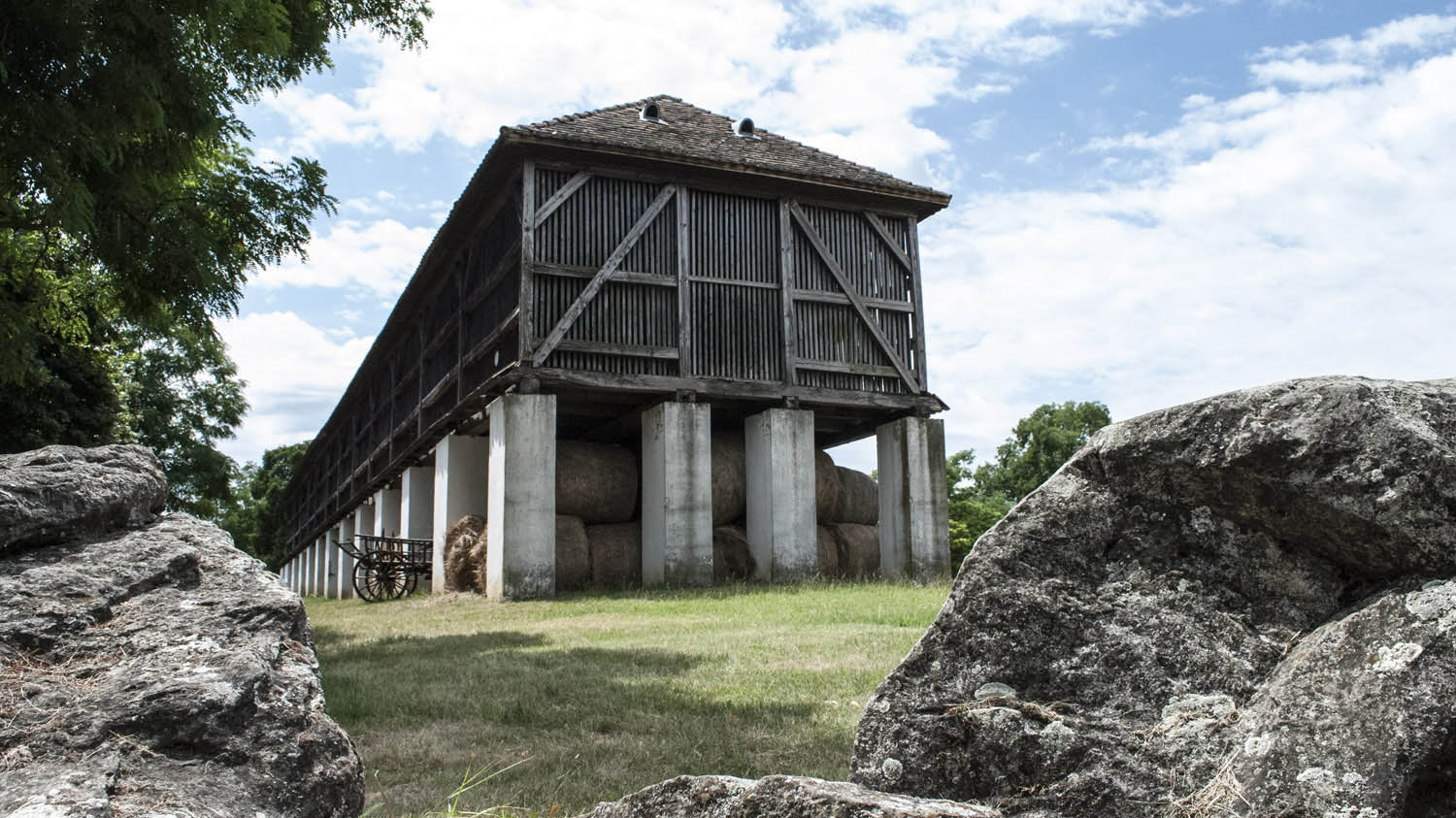 Veszprémi Gergő fotográfus fotográfus vizsgaremek 