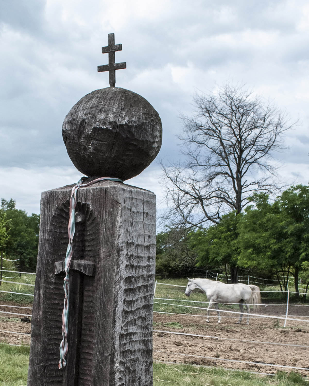 Veszprémi Gergő fotográfus fotográfus vizsgaremek 