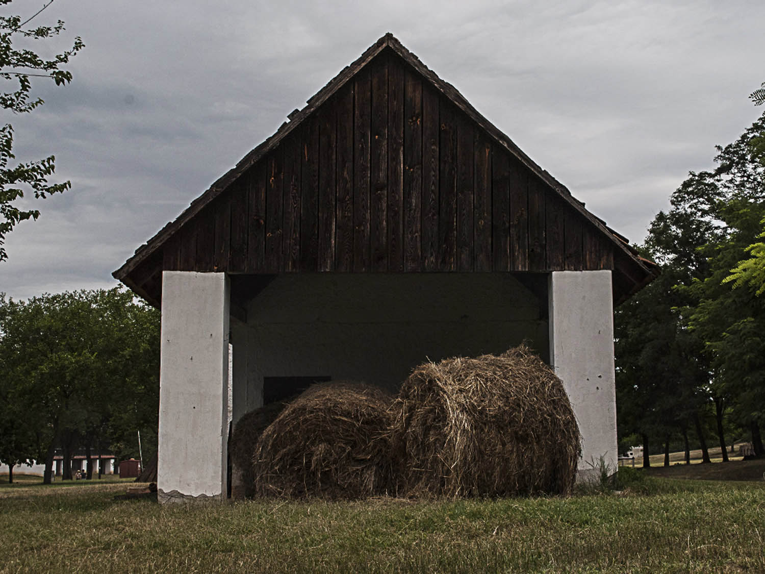 Veszprémi Gergő fotográfus fotográfus vizsgaremek 