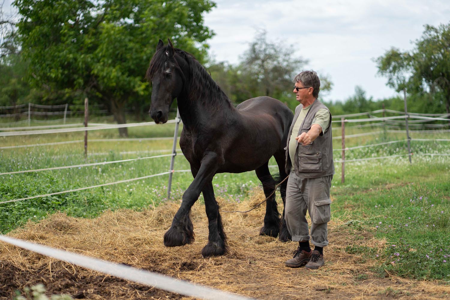 Bata Emese fotográfus fotográfus vizsgaremek 