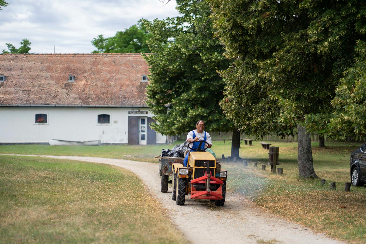 Bata Emese fotográfus fotográfus vizsgaremek 