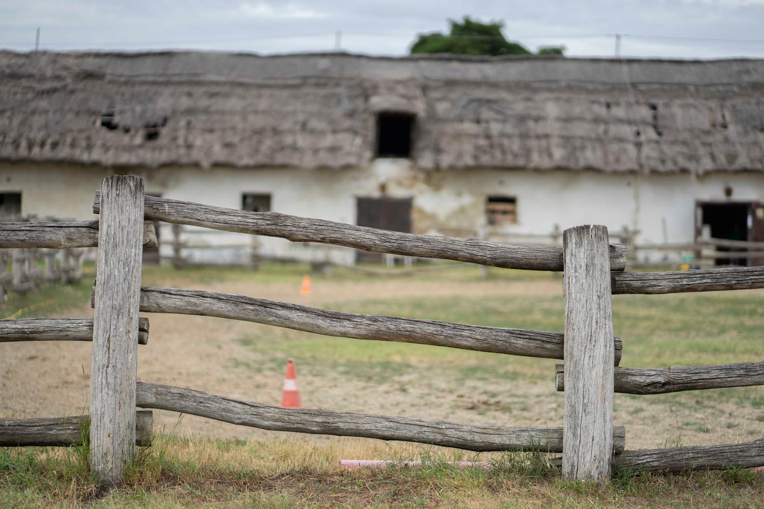 Bata Emese fotográfus fotográfus vizsgaremek 