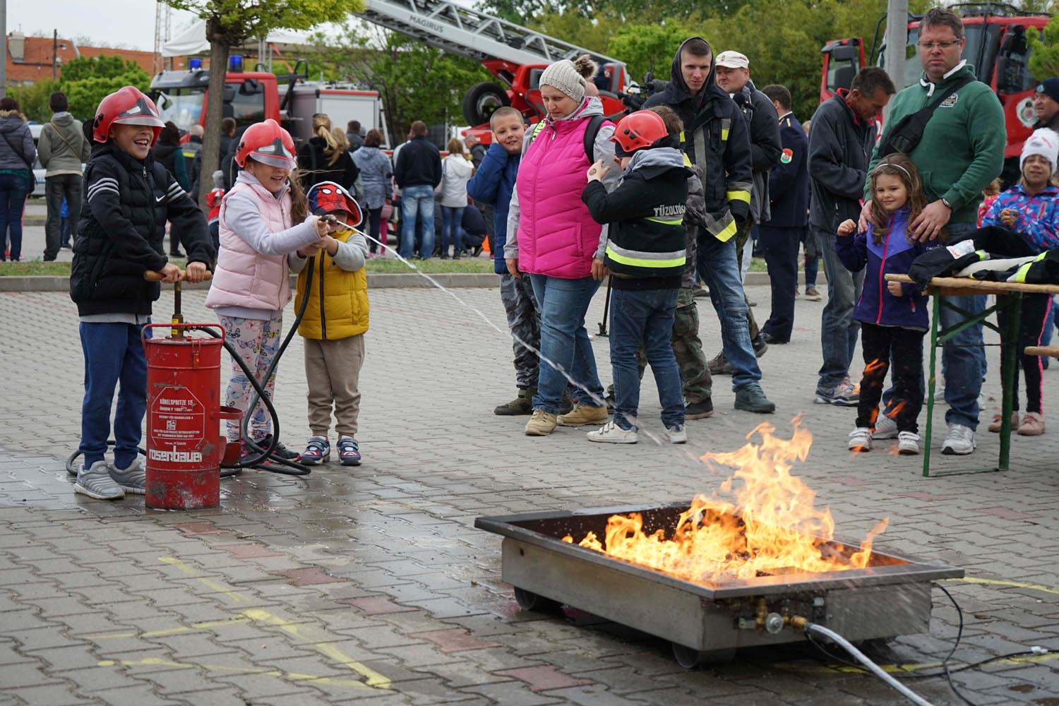 Bata Emese fotográfus fotográfus vizsgaremek 