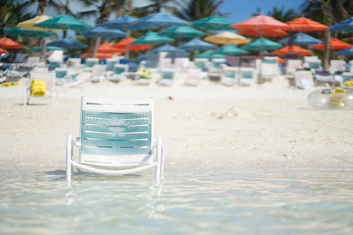 Bata Emese fotográfus fotográfus vizsgaremek 