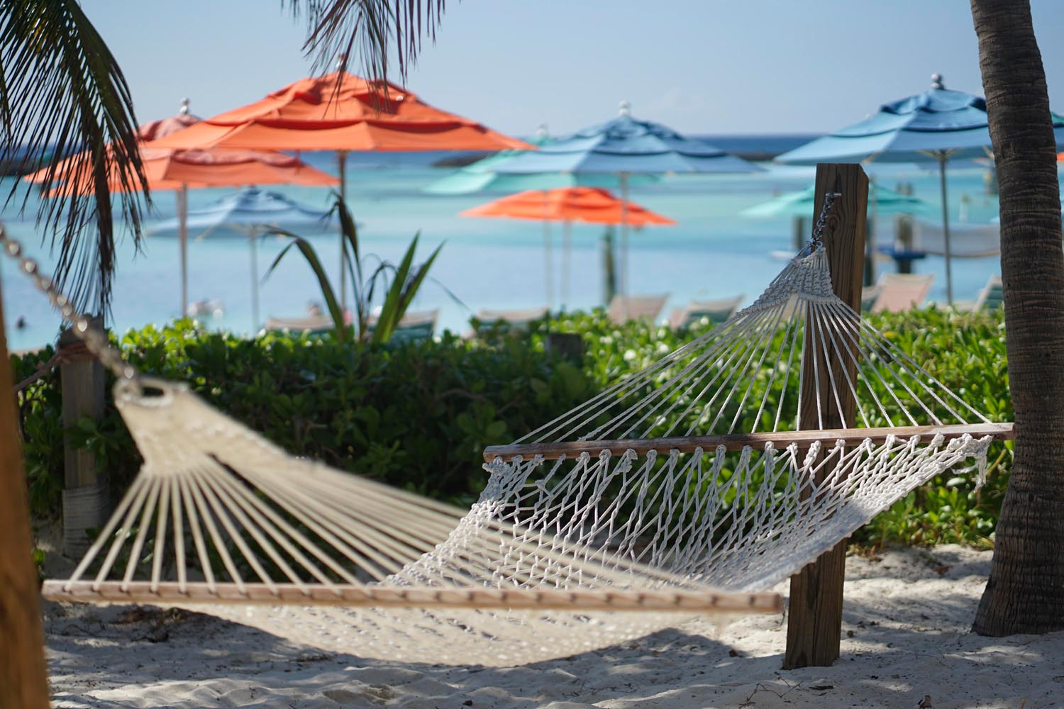 Bata Emese fotográfus fotográfus vizsgaremek 