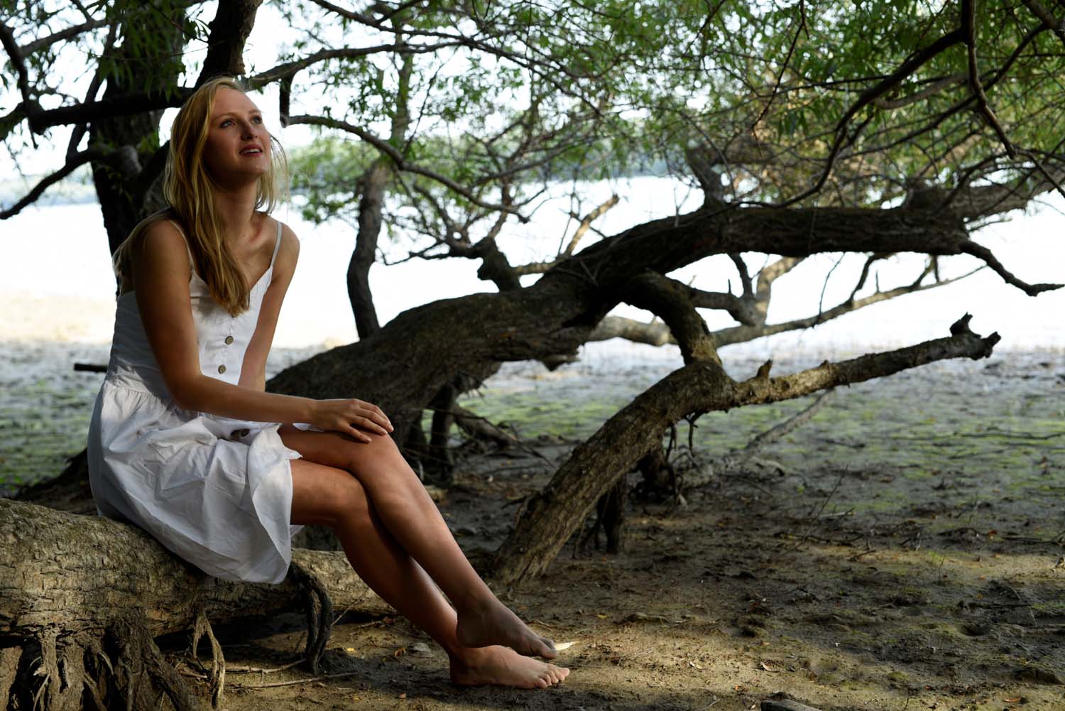Bokor Krisztián fotográfus fotográfus vizsgaremek 