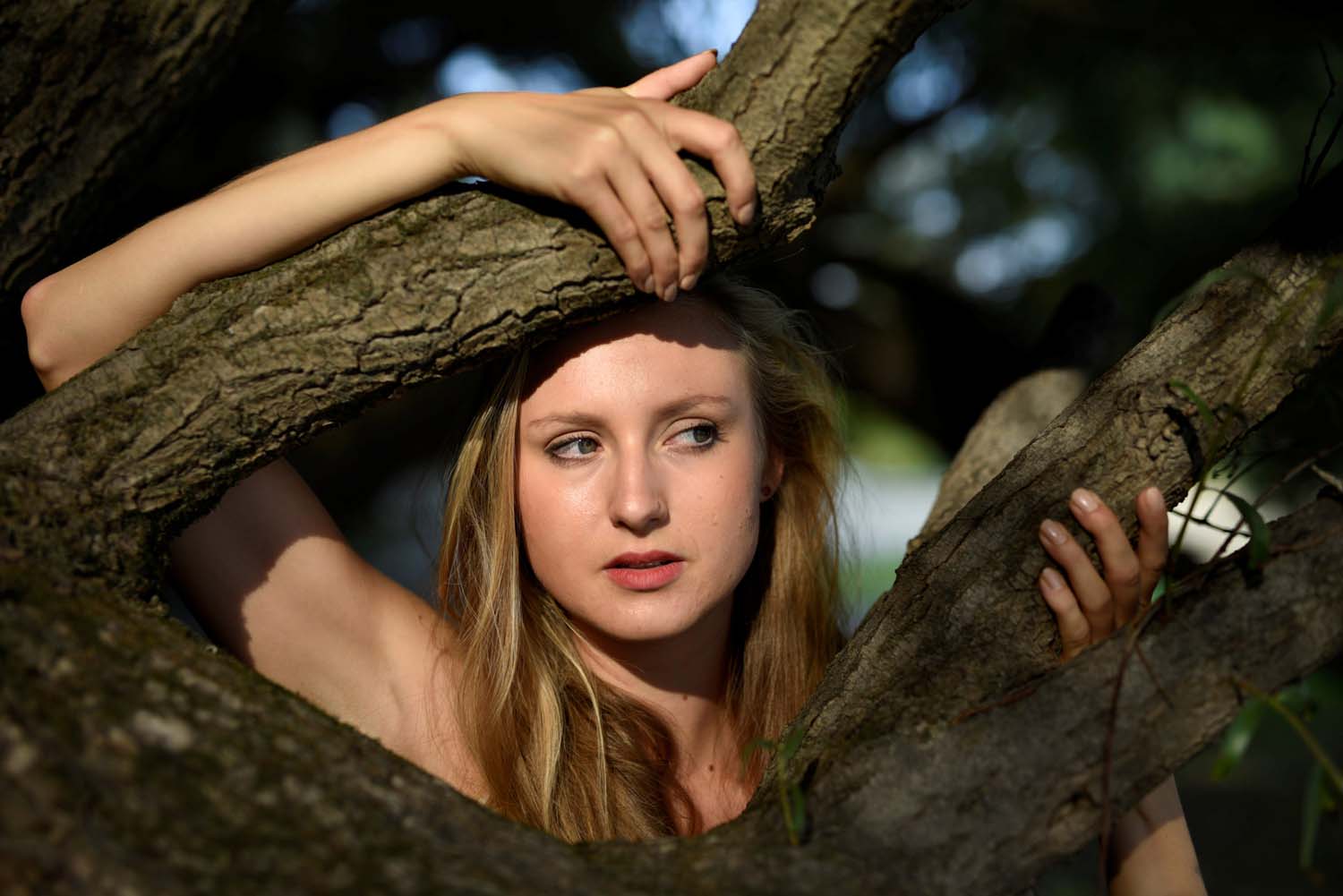 Bokor Krisztián fotográfus fotográfus vizsgaremek 