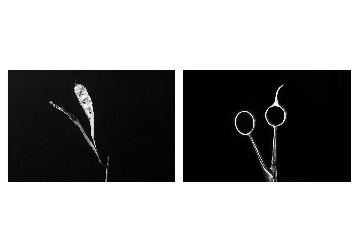 Bokor Krisztián fotográfus fotográfus vizsgaremek 