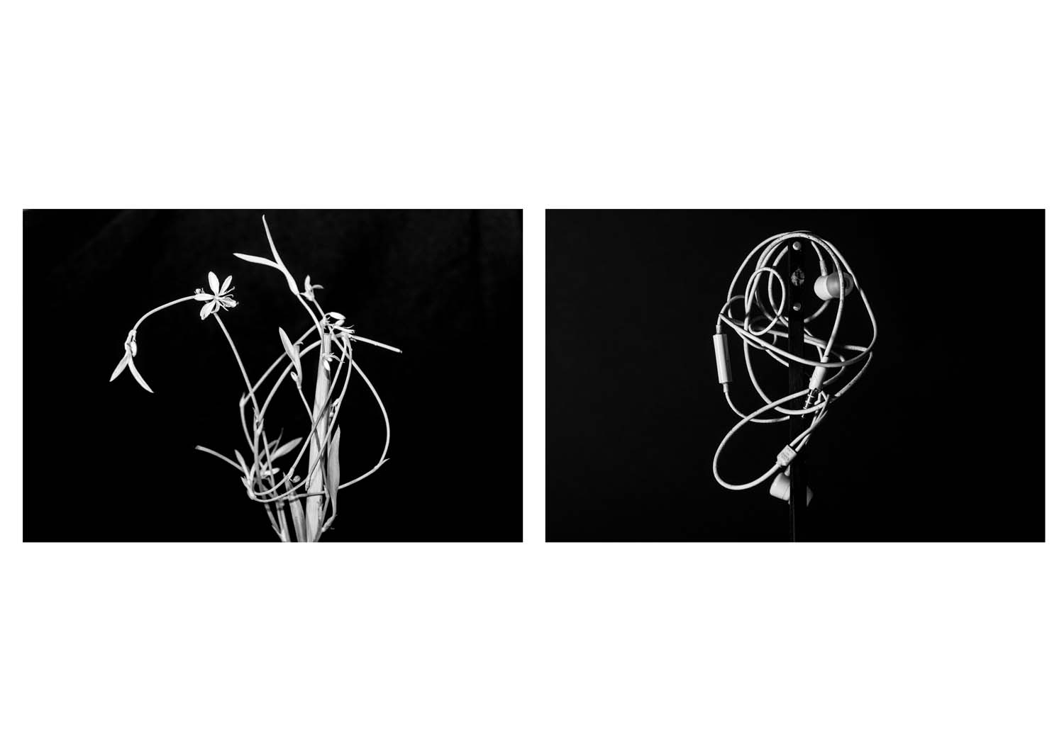 Bokor Krisztián fotográfus fotográfus vizsgaremek 