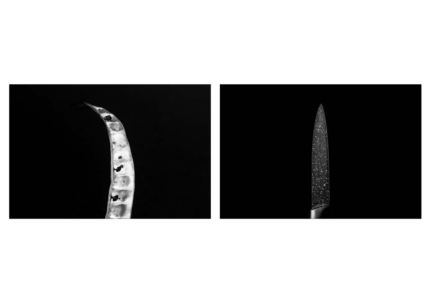 Bokor Krisztián fotográfus fotográfus vizsgaremek 