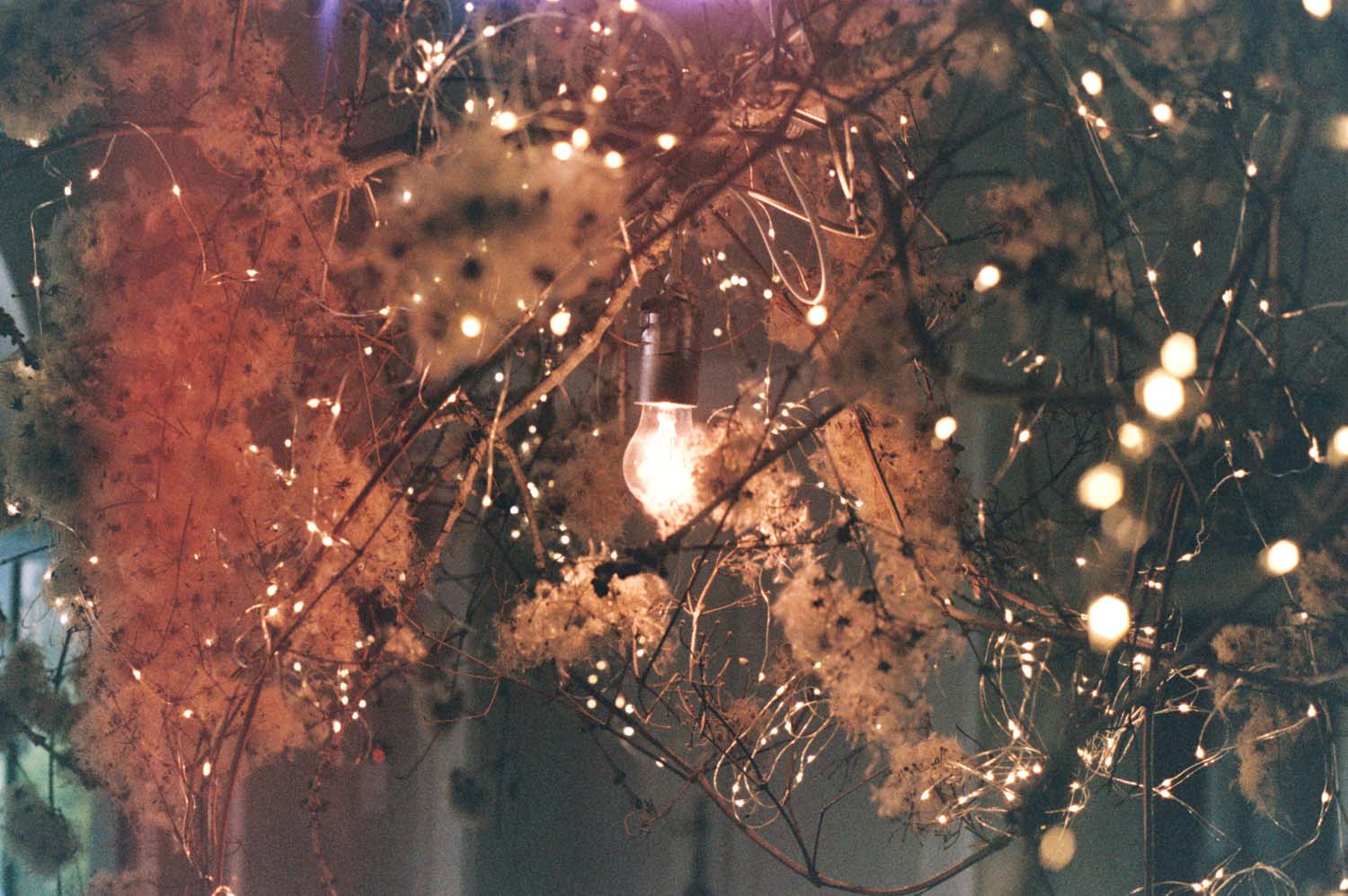 Bokor Krisztián fotográfus fotográfus vizsgaremek 