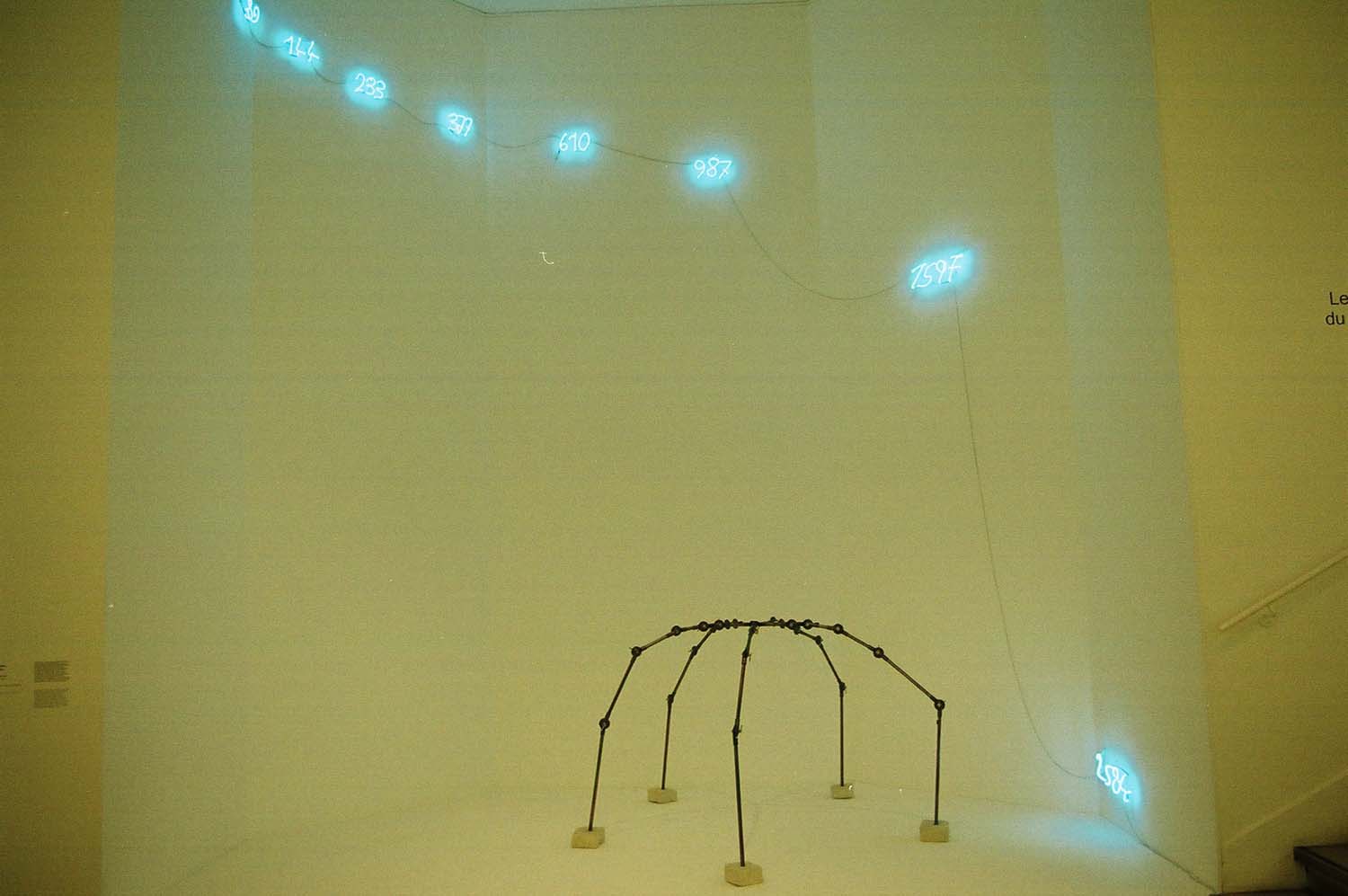 Bokor Krisztián fotográfus fotográfus vizsgaremek 