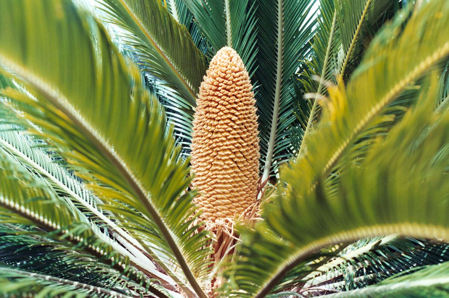 Bokor Krisztián fotográfus fotográfus vizsgaremek 
