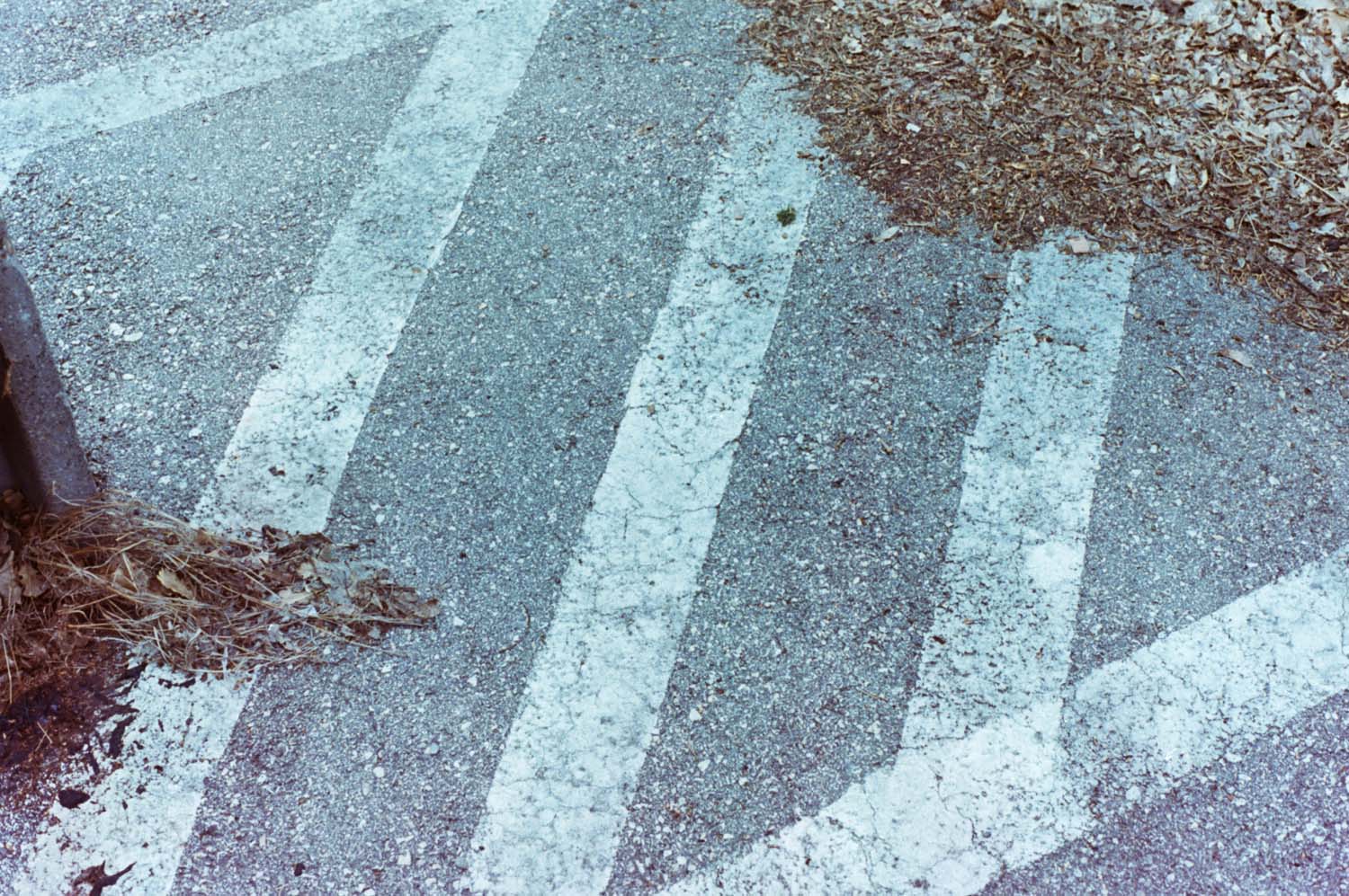 Bokor Krisztián fotográfus fotográfus vizsgaremek 