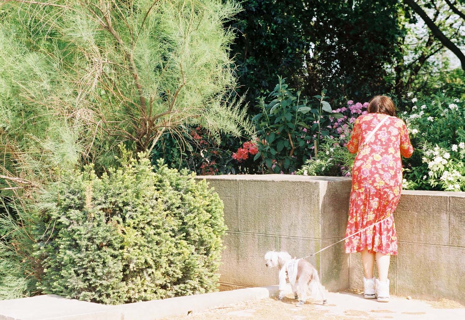 Bokor Krisztián fotográfus fotográfus vizsgaremek 