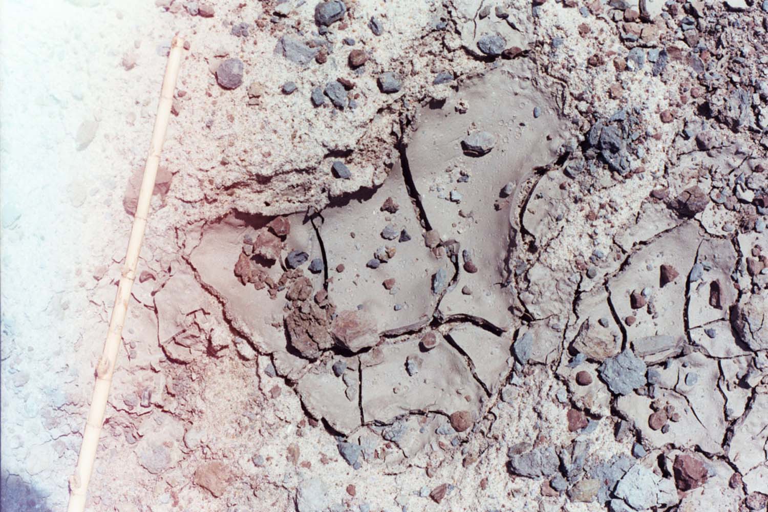 Bokor Krisztián fotográfus fotográfus vizsgaremek 