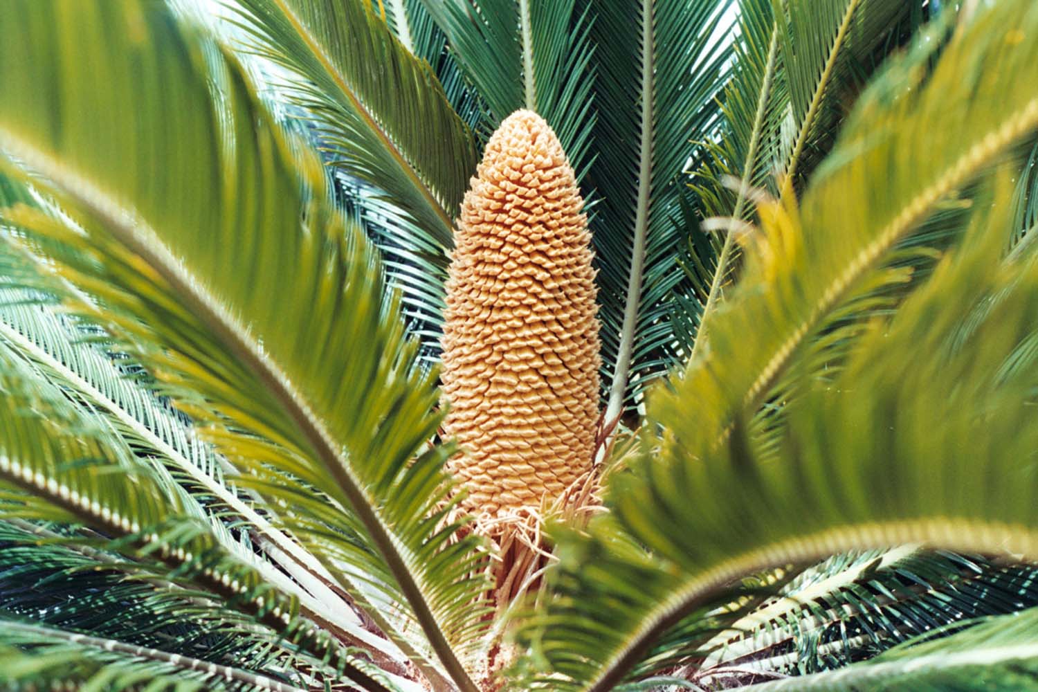 Bokor Krisztián fotográfus fotográfus vizsgaremek 