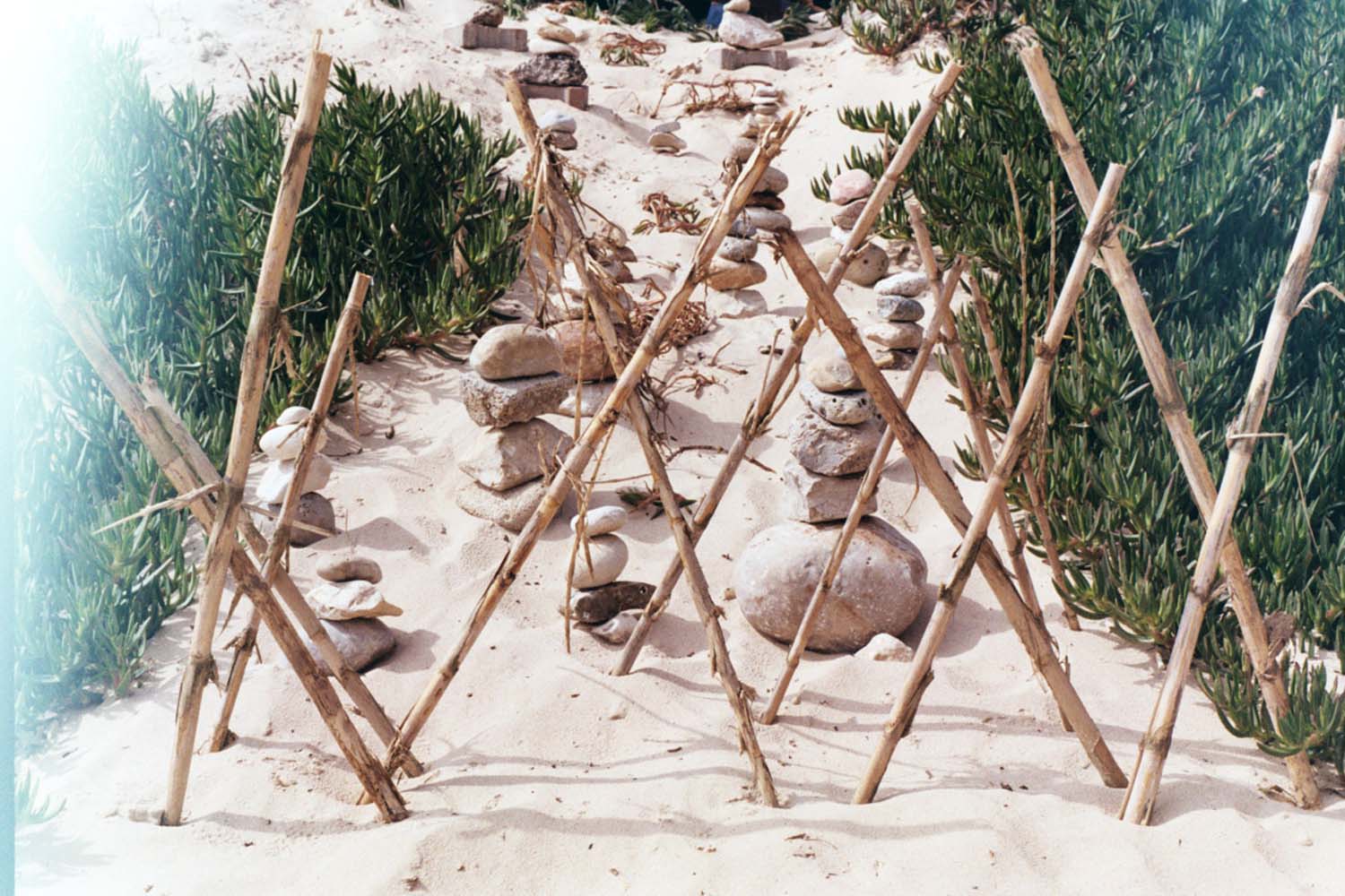 Bokor Krisztián fotográfus fotográfus vizsgaremek 