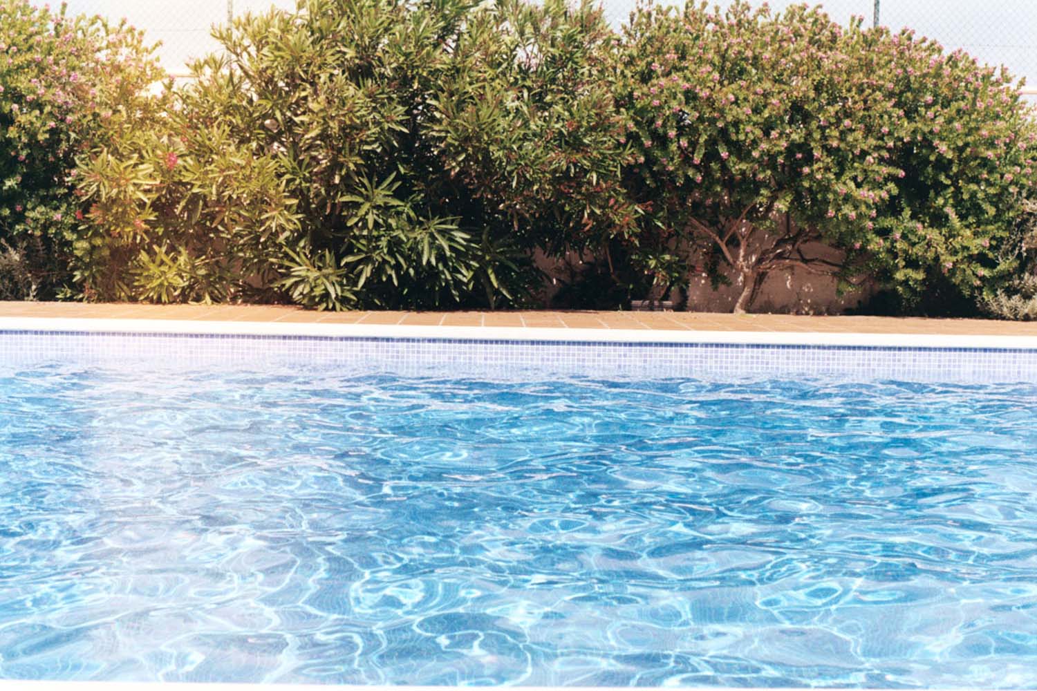 Bokor Krisztián fotográfus fotográfus vizsgaremek 