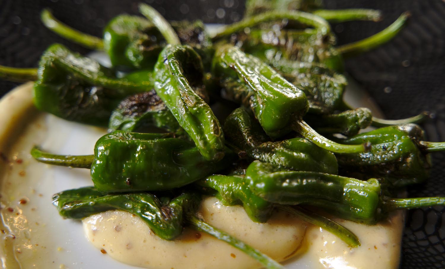 Király Péter fotográfus fotográfus vizsgaremek 