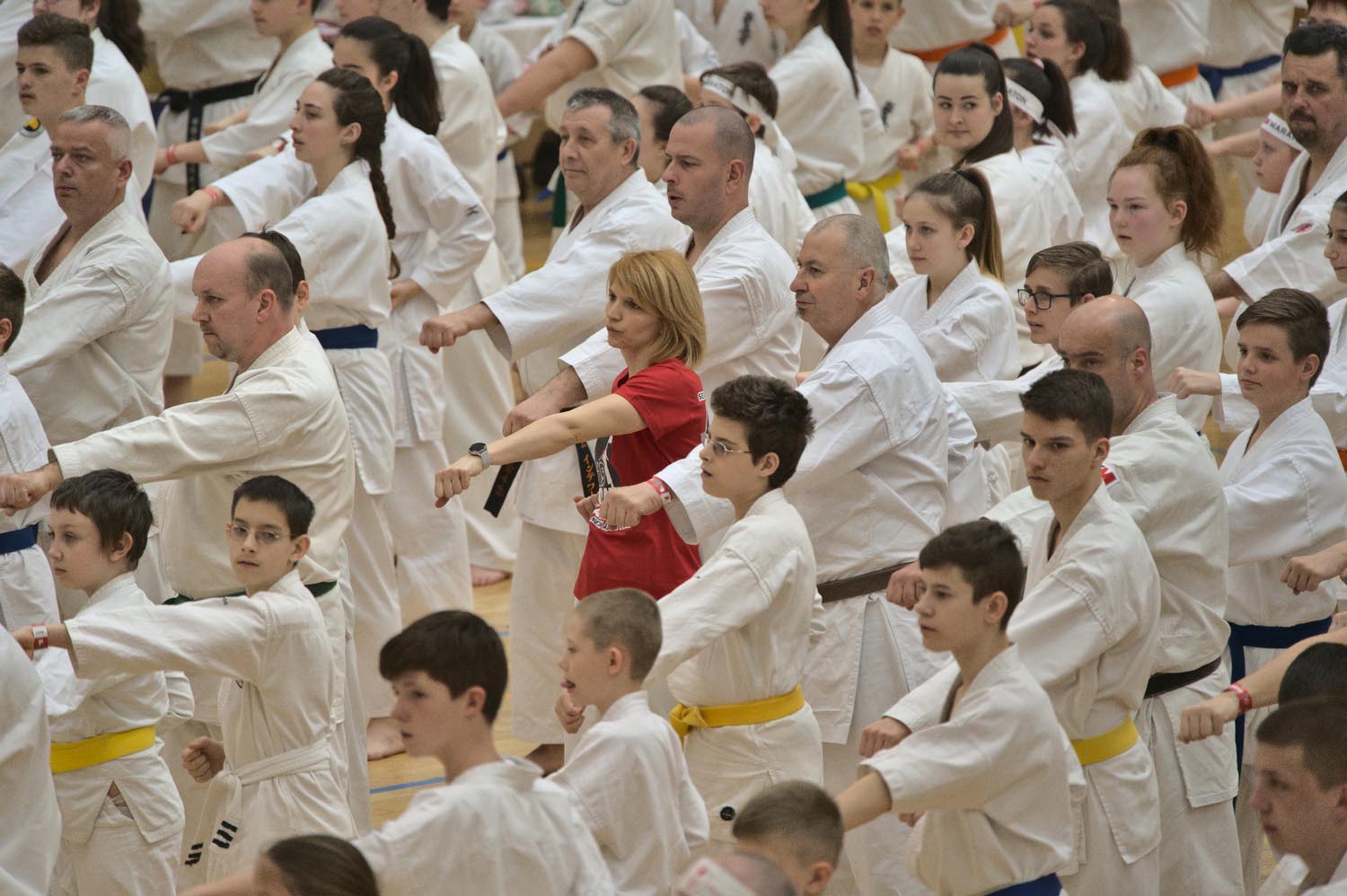 Király Péter fotográfus fotográfus vizsgaremek 