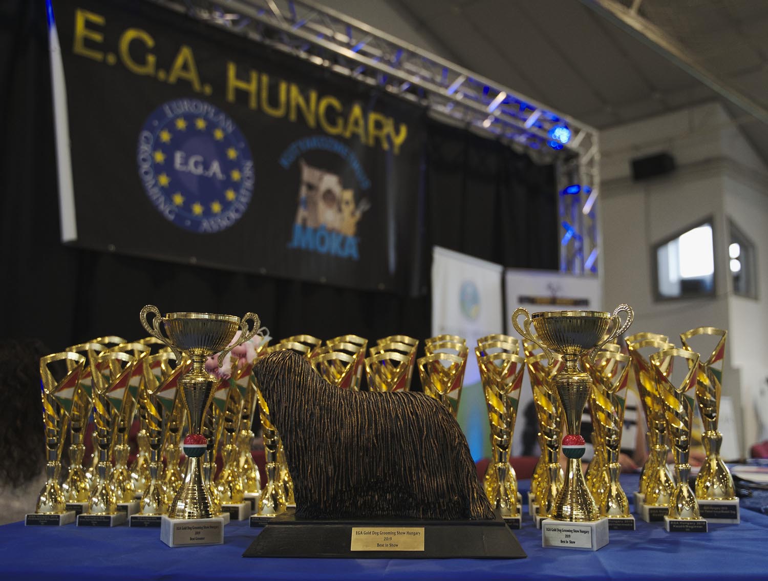 Király Péter fotográfus fotográfus vizsgaremek 