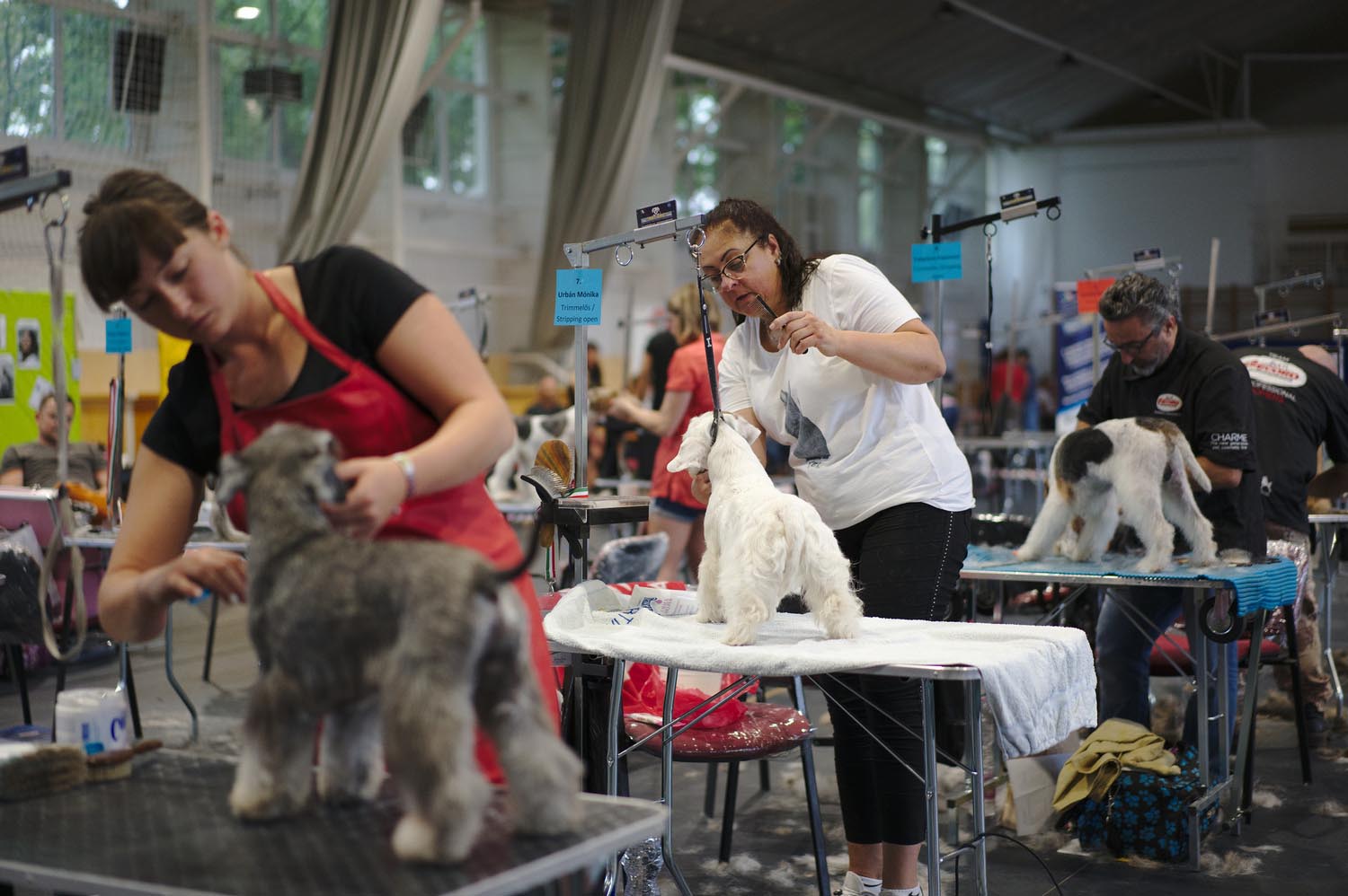 Király Péter fotográfus fotográfus vizsgaremek 