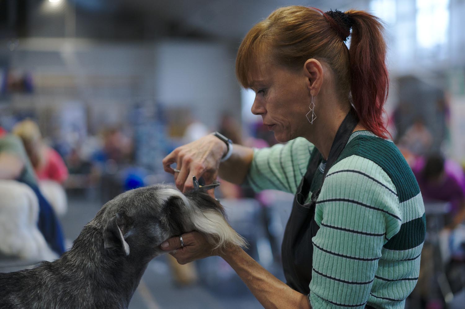 Király Péter fotográfus fotográfus vizsgaremek 